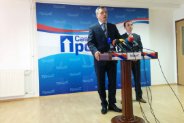 SDS dobio dva udarca