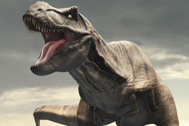 Djed T-Rexa bio dugačak 9 metara, imao prste 57 cm