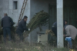 U kući pokojnika našli više od pola tone droge