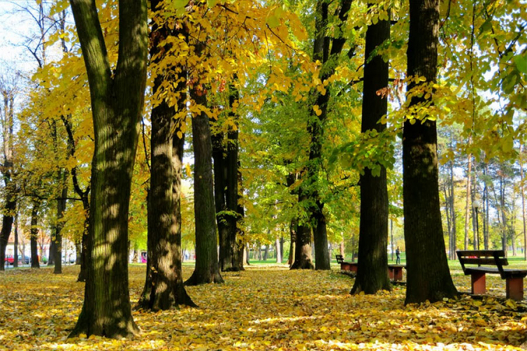Sunčano i ugodno toplo