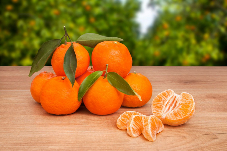 Sve blagodeti kraljice jeseni: Mandarina, sočna, ukusna i zdrava