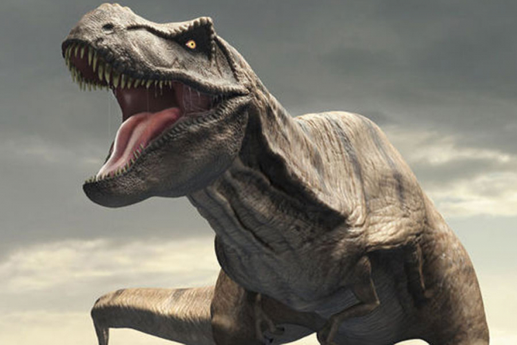 Djed T-Rexa bio dugačak 9 metara, imao prste 57 cm
