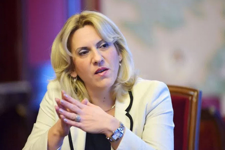 Cvijanović: BiH se nije dalo dovoljno prostora da živi kako je mogla