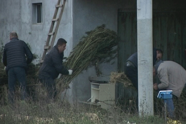 U kući pokojnika našli više od pola tone droge