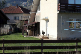 Ekipa "Nezavisnih" u Palama: Dobermani čuvali sakriveni Dejton