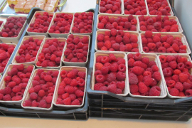 Najavljeno povećanje otkupne cijene maline?