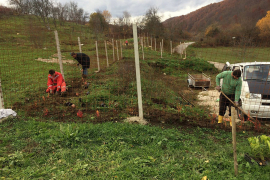 Udruženje "Srce za šapu" gradi "Zemlju sretnih pasa"