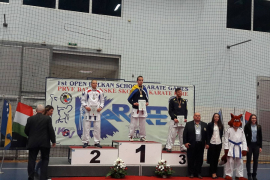 Mladim bh. karatistima 27 medalja