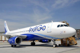 Putnički avion se sudario sa divljom svinjom
