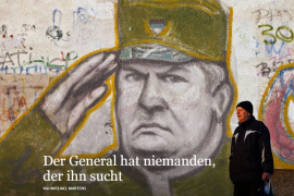Frankfurter Allgemeine Zeitung: Karadžiću zasjede, Mladića štitila ...