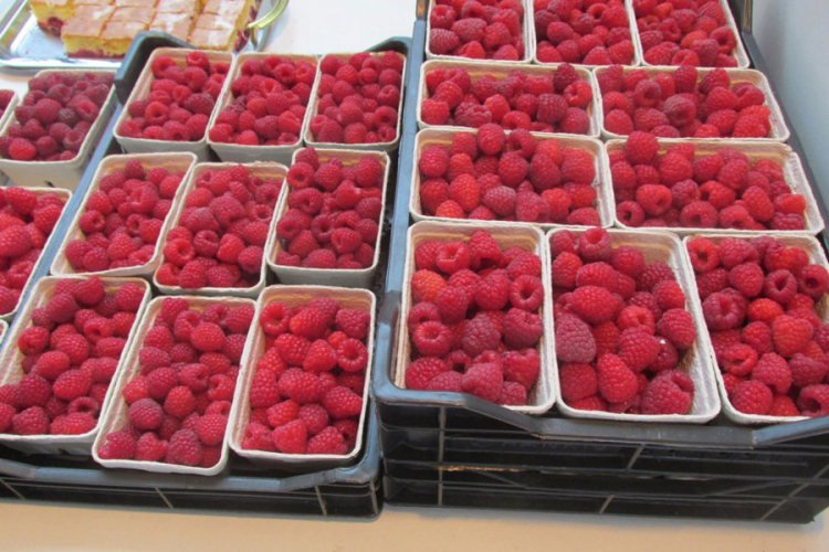 Najavljeno povećanje otkupne cijene maline?
