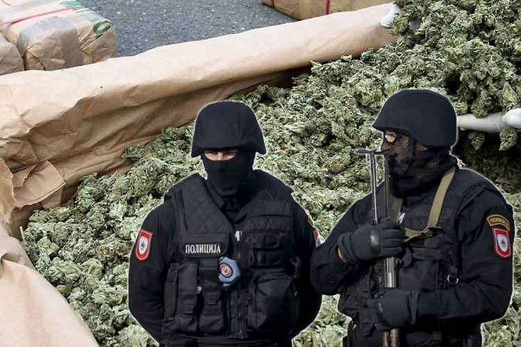 Akcija MUP-a RS: Zaplijenili 11 kg droge, šest uhapšenih
