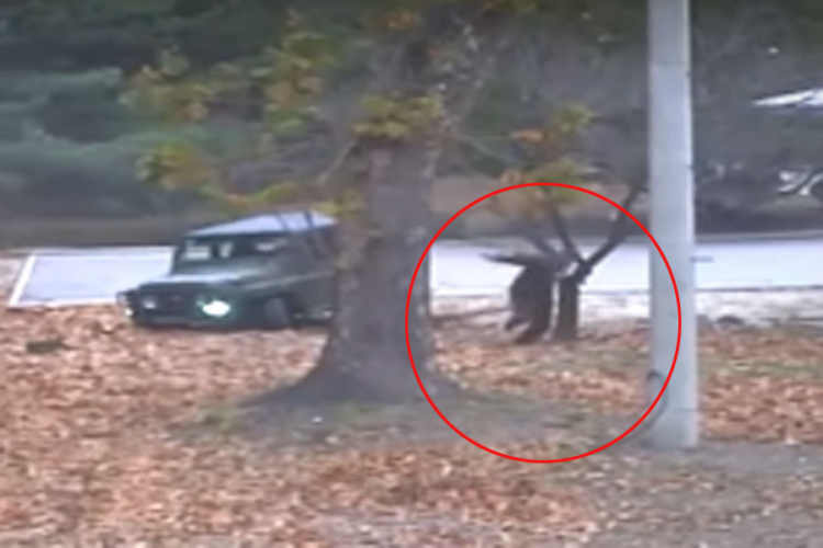 Objavljen dramatični snimak sjevernokorejskog vojnika