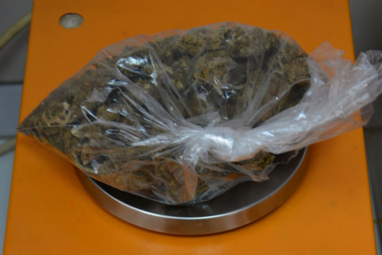 Pronađena marihuana i pribor za proizvodnju droge, uhapšen mladić