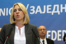 Cvijanović: U Beču razgovarano o regulisanju tržišta gasa, nema ...