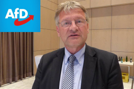 Njemačka AfD izabrala rukovodstvo