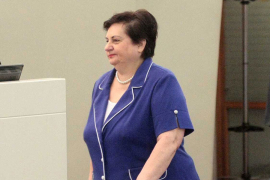Majkić: Izetbegović ima primjedbe na sve što se predloži