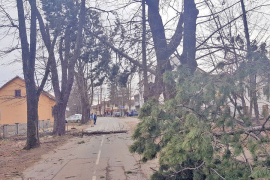 Olujni vjetar nosio krovove i čupao drveće u Prnjavoru
