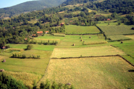 Fabrike prepune, njive prazne