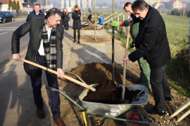 Petrićevac dobio 20 novih lipa