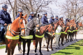 Policija u RS biće opremljena i konjima