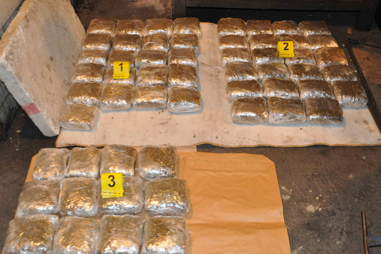 U Srbiji zaplijenjeno više od 35 kilograma marihuane, dvoje uhapšeno