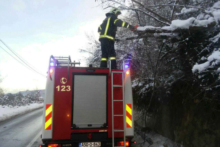 Brinu i za bezbjednost saobraćaja: Banjalučki vatrogasci uklonili stablo koje se nadvilo nad putem
