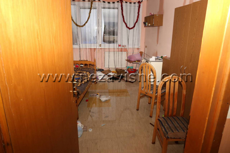 Malešević: Paviljon će biti rekonstruisan