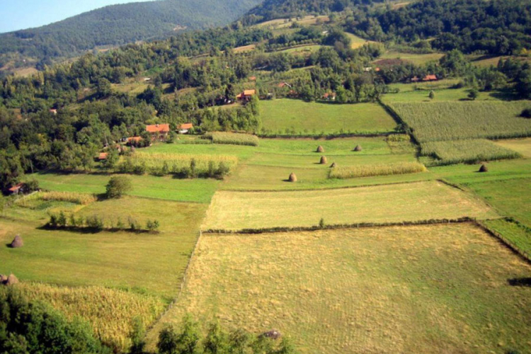 Fabrike prepune, njive prazne
