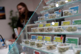 U Kaliforniji proširenja legalizacija "trave za ludovanje"