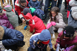 Udruženje "Duga" organizuje pijukanje na Badnji dan