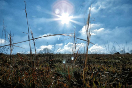 I narednih dana temperatura iznad prosjeka