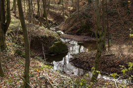Planinarska akcija na Krčmarice