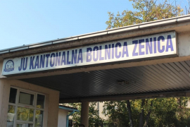 Drljević: Žrtva svinjskog gripa ranije imala virozu