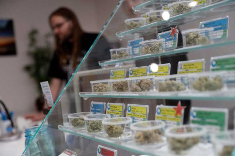 U Kaliforniji proširenja legalizacija "trave za ludovanje"