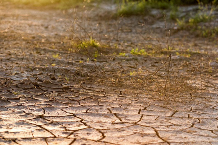 Naučnici: Uvod u totalnu sušu na četvrtini planete