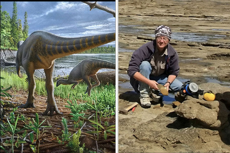 Pronađeni fosili nove vrste dinosaurusa