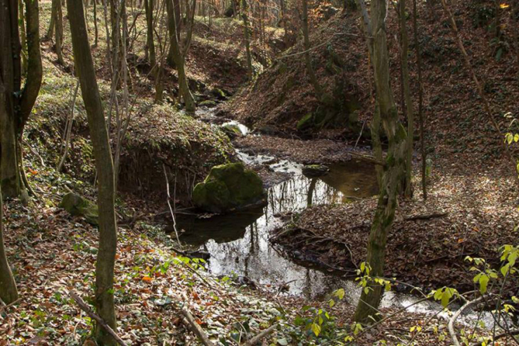 Planinarska akcija na Krčmarice