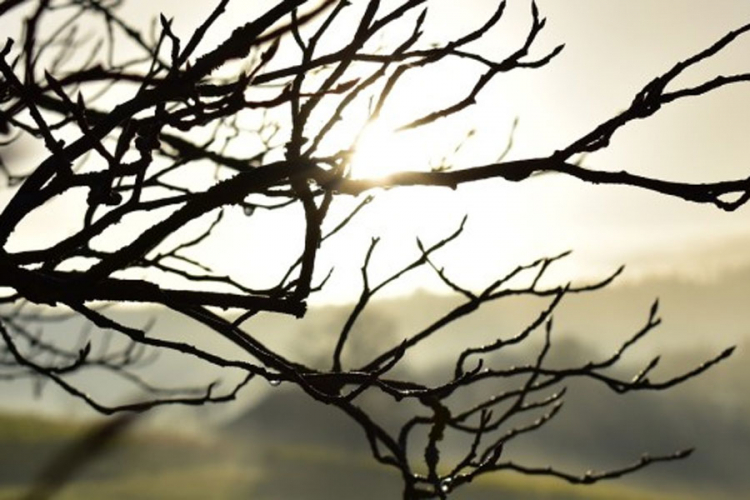 Danas sunčano, temperatura do 13 stepeni Celzijusovih