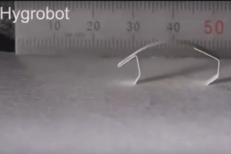 Južnokorejski naučnici konstruisali "robota na vlagu"