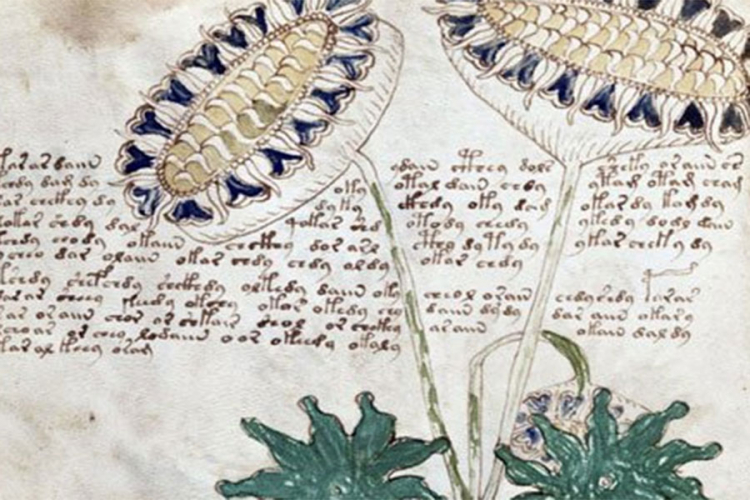 Naučnici uspjeli da dešifruju misteriozan rukopis iz 15.vijeka