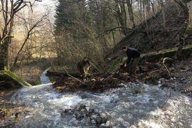 Začepljeni kanali ugrozili spomenik