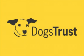 Saradnja Dogs Trusta i UNDP-a