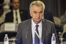 Šarović: U WTO prije godišnjih odmora
