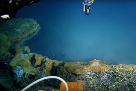 Tajanstveno jezero ispod površine mora ubija gotovo svako živo biće