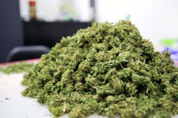 Kod Srbina i Crnogorca pronađeno 120 kilograma marihuane