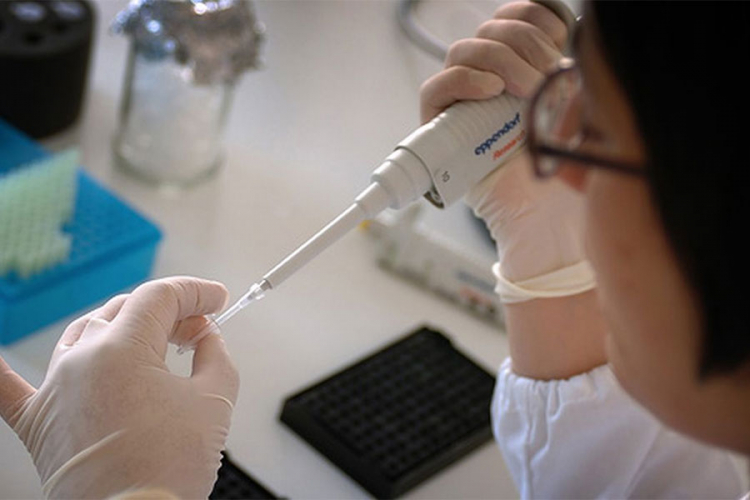 Naučnici u laboratoriji razvili zrela ljudska jajašca