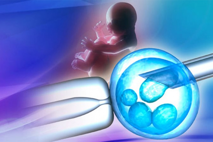 U BiH neophodan zakon o vantjelesnoj oplodnji
