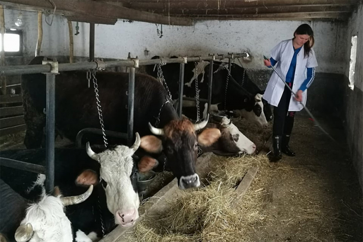 Ženske ruke krote zemlju i traktor