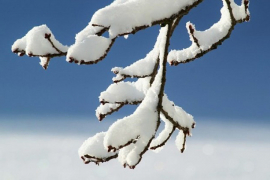 Kakvo nas vrijeme očekuje naredne sedmice?